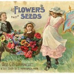 Seed Catalog image