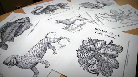 Coloring sheets featuring images from the Wangensteen Library's collections.