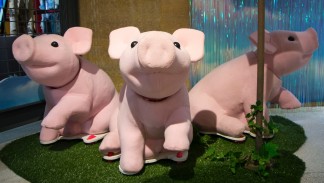 three Pigs from Children's Theatre Company