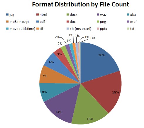 Graph showing that file counts range from 20% .jpg (photos) to only 1% .mov files (Quicktime video).