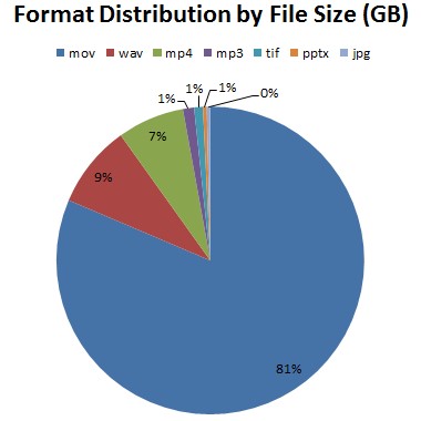 Chart showing that while .mov files are only 1% of the total number of files, they take up 81% of the total space.