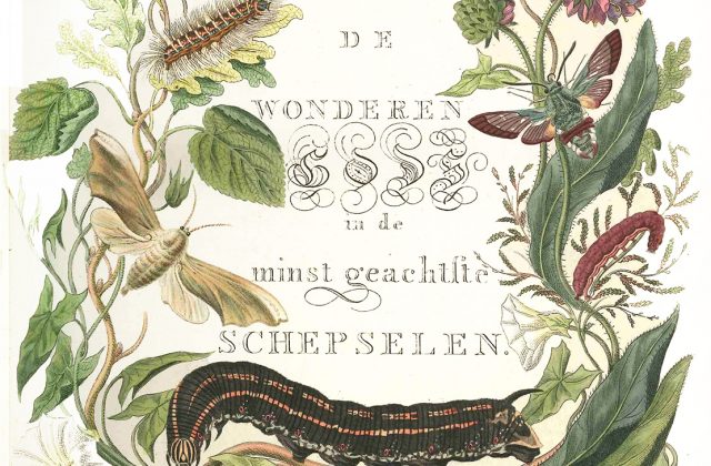 Title page from 1762 entomology book