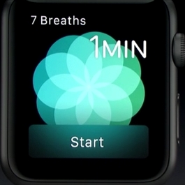 Apple Watch Breathe Function