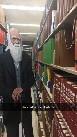 cutout of Charles Darwin shelving books