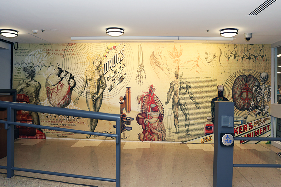 Entryway mural designed by Darren Terpstra.