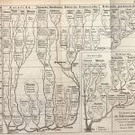 Haeckel, Ernst. 1866. Generelle Morphologie Der Organismen. : Allgemeine Grundzüge Der Organischen Formen-Wissenschaft, Mechanisch Begründet Durch Die von Charles Darwin Reformirte Descendenz-Theorie. Berlin]: [G. Reimer].
