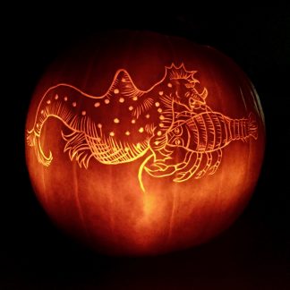 Final #UnderwaterPumpkin carved by Emily.
