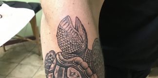 Turtle tattoo.