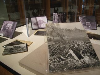 Selected photographs depicting the different stages of production of the beaver diorama. Image from the Exploring Minnesota’s Natural History exhibit at Elmer L. Andersen Library, 2015.