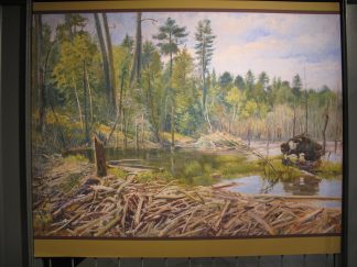 Reproduction of the landscape study painting background artist Charles Abel Corwin. Image from the Exploring Minnesota’s Natural History exhibit at Elmer L. Andersen Library, 2015.