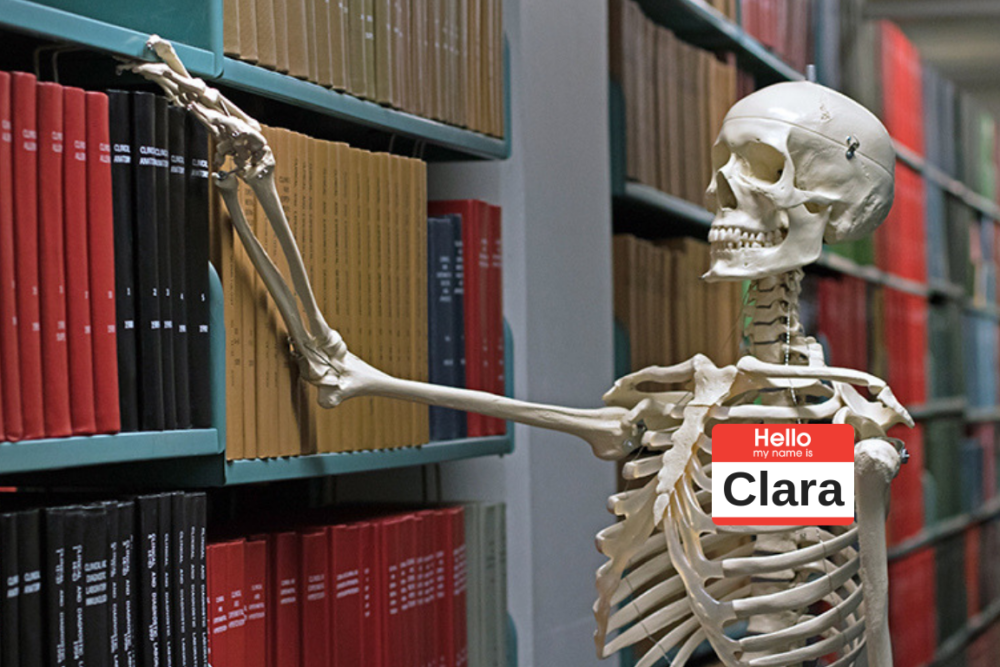 A photo of our new female skeleton model, Clara, browsing our stacks.