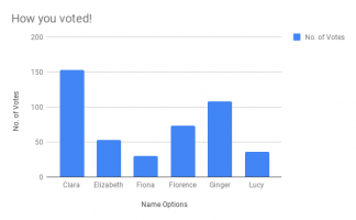 Chart indicating the number of votes for each name option (Clara, Elizabeth, Fiona, Florence, Ginger, Lucy)