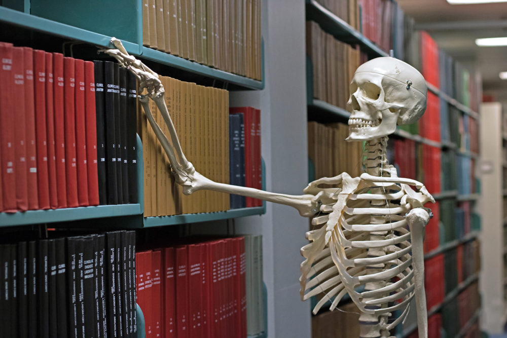 Female skeleton model at the Bio-Medical Library.