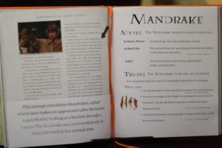 Passage on Mandrakes from Harry Potter book.