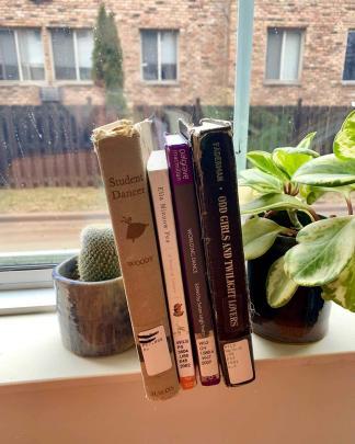 Books on shelf on window ledge, including Mark Dunn’s Ella Minnow Pea: A Novel in Letters