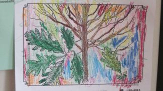 Summer white oak by Maja, age 5
