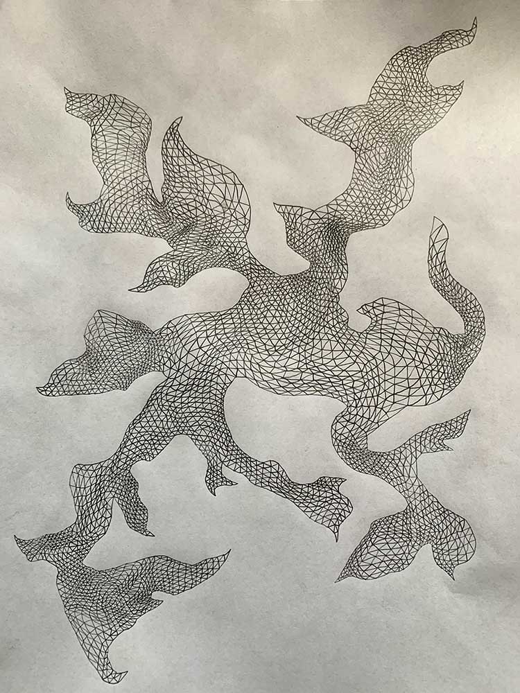 curly drawing by Annie Hoffman