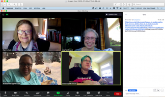 Screen shot of Zoom meeting with MCAD interns