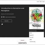 Introduction to Sensation & Perception e-book