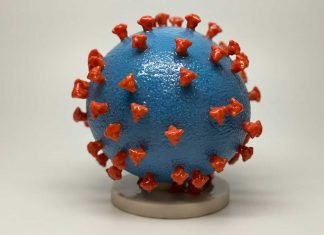 3D model of the Coronavirus from the NIH