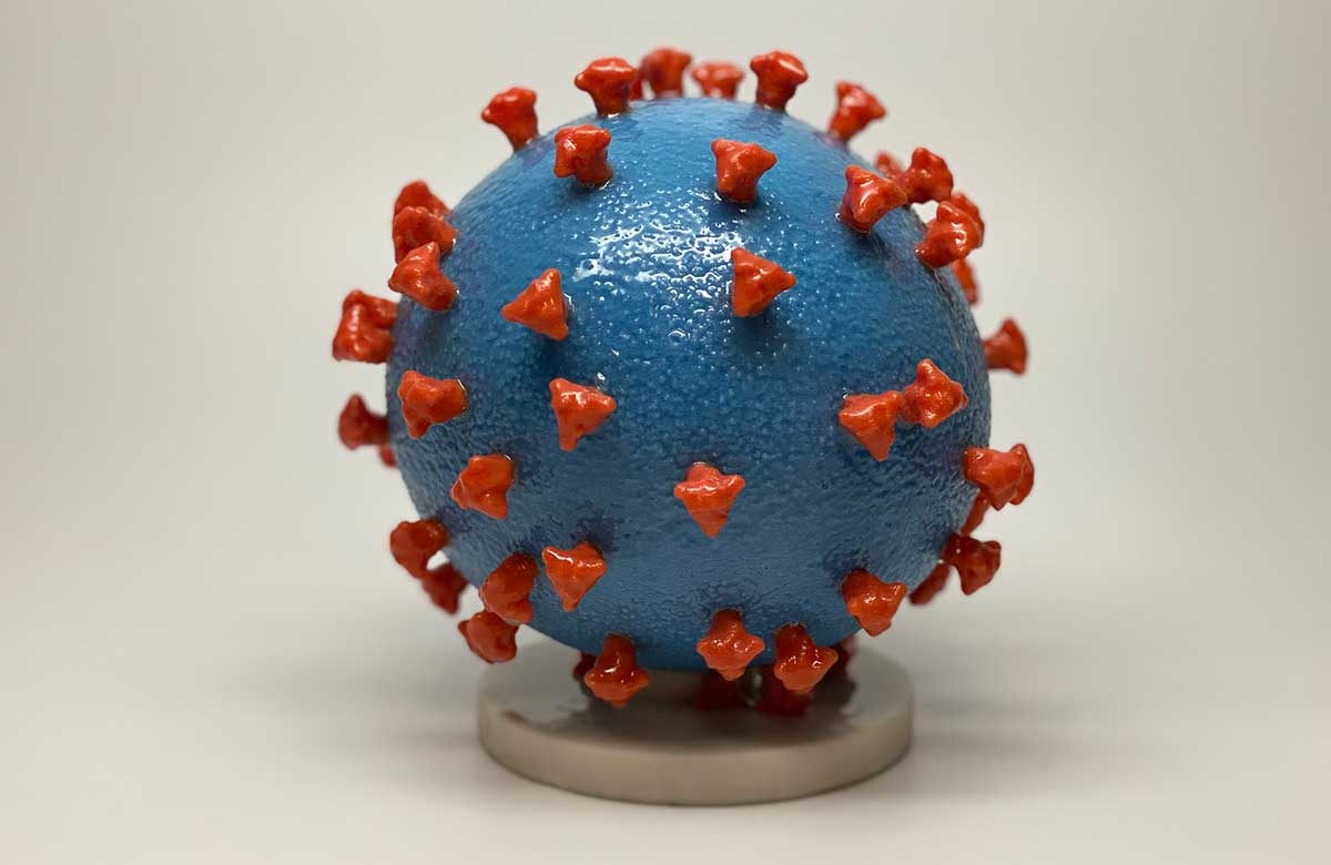 3D model of the Coronavirus from the NIH