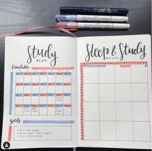A view of a bullet journal is shown with a month and a weekly view.