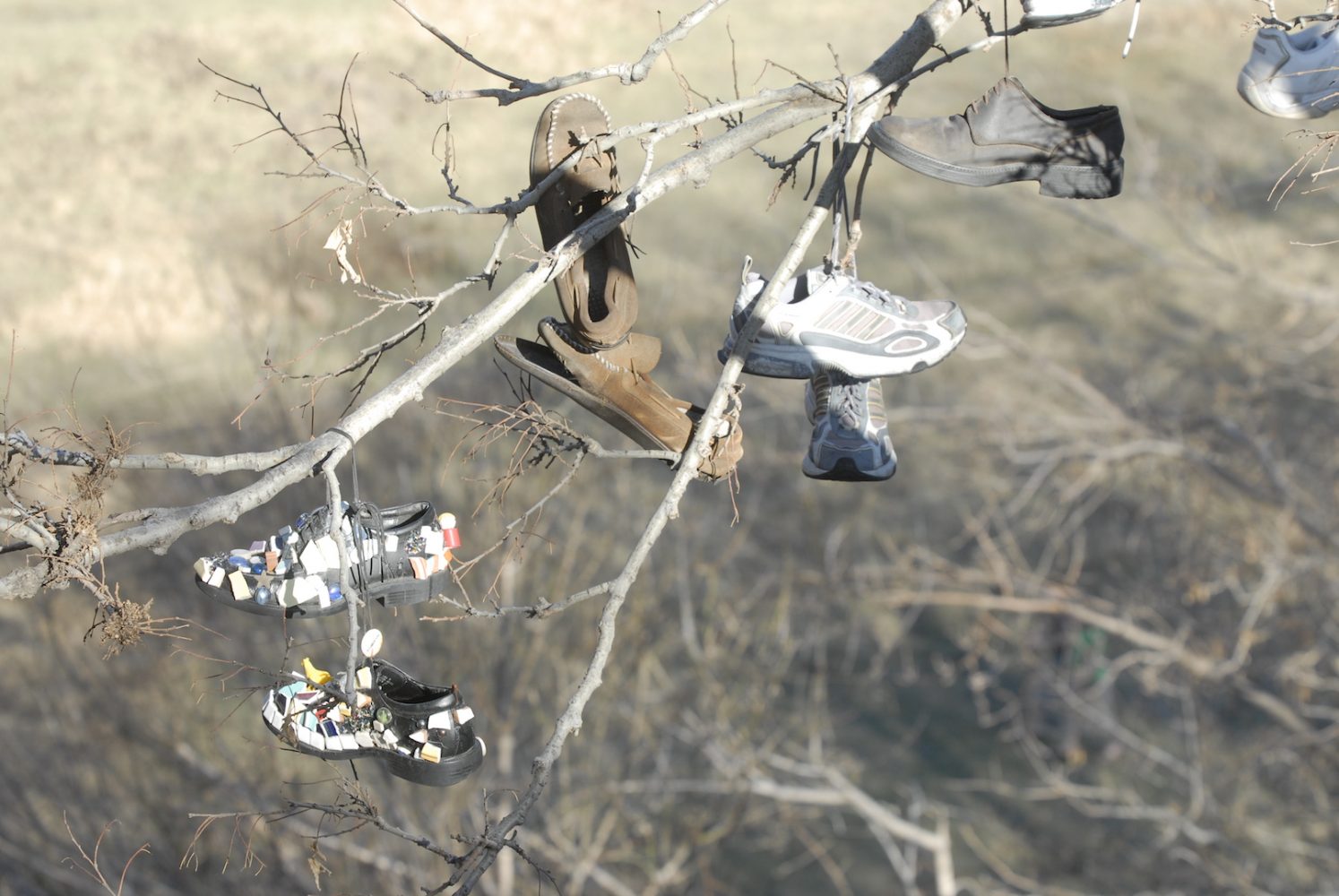 Hundreds of shoes hang from the branches of a tree.