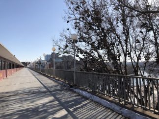 The Washington Avenue bridge walkway facing the East Bank. The Shoe Tree is to the right with some branches hanging over the walkway.