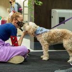 PAWS student touching nose with dog