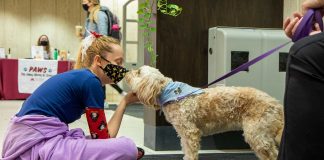 PAWS student touching nose with dog