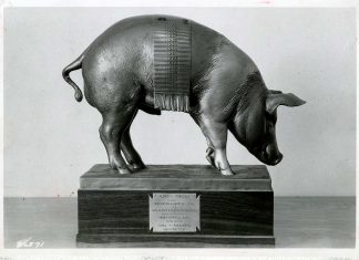 The Floyd of Rosedale Trophy