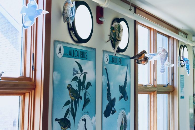 panels of bird illustrations hang in the skyway gallery alongside the windows
