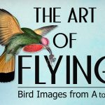The Art of Flying exhibit poster