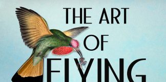 The Art of Flying exhibit poster