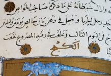 Manuscript page in Arabic, showing image of blue cat