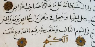 Manuscript page in Arabic, showing image of blue cat