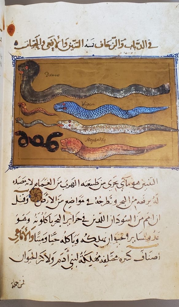 Manuscript page in Arabic, showing snakes and serpents.