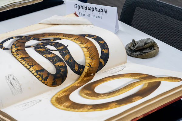 A book showing a large snake is shown at the 2022 Wangensteen Historical Library's Halloween pop-up exhibit.