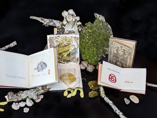 a collage of books, moss, mushrooms, acorns, and maple seeds