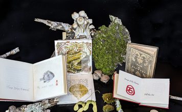 a collage of books, moss, mushrooms, acorns, and maple seeds