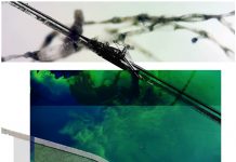 A collage of photos showing water landscapes from the book, Five Bay Landscapes: Curious Explorations of the Great Lakes Basin