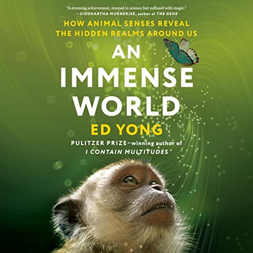 Green book cover featuring a monkey with the title