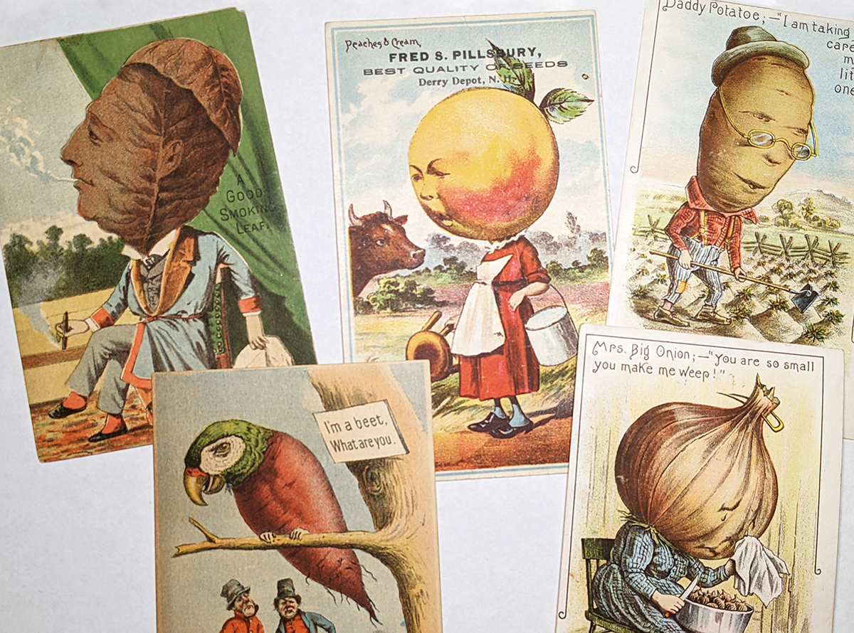 Five vintage postcards featuring anthropomorphic vegetables and fun sayings like, "Mrs. Big Onion - you are so small you make me weep."