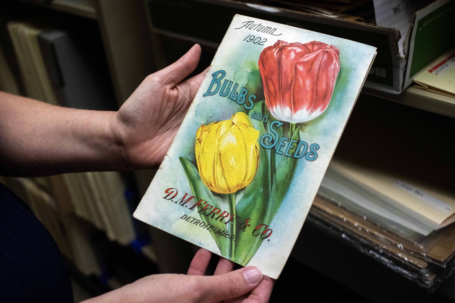 Cover art for a seed magazine, in the rare book collections of the Andersen Horticulltural Library, on Friday, June 9, 2023. (Photo/Adria Carpenter)