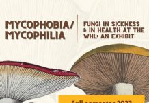 Mushroom exhibit promotional poster