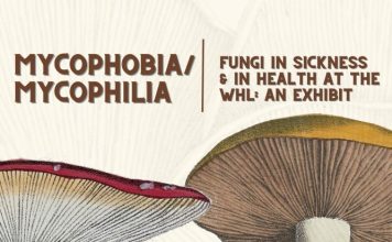 Mushroom exhibit promotional poster